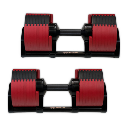 Probell 5-80 Adjustable Dumbbells