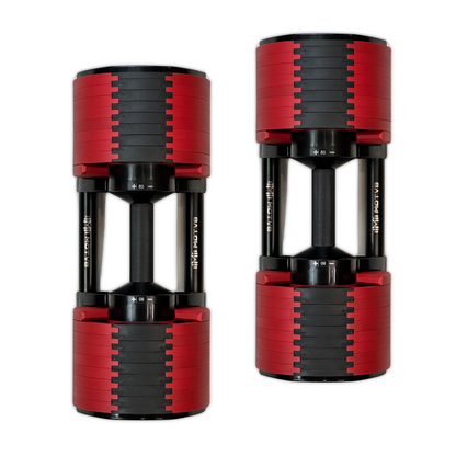 Probell 5-80 Adjustable Dumbbells