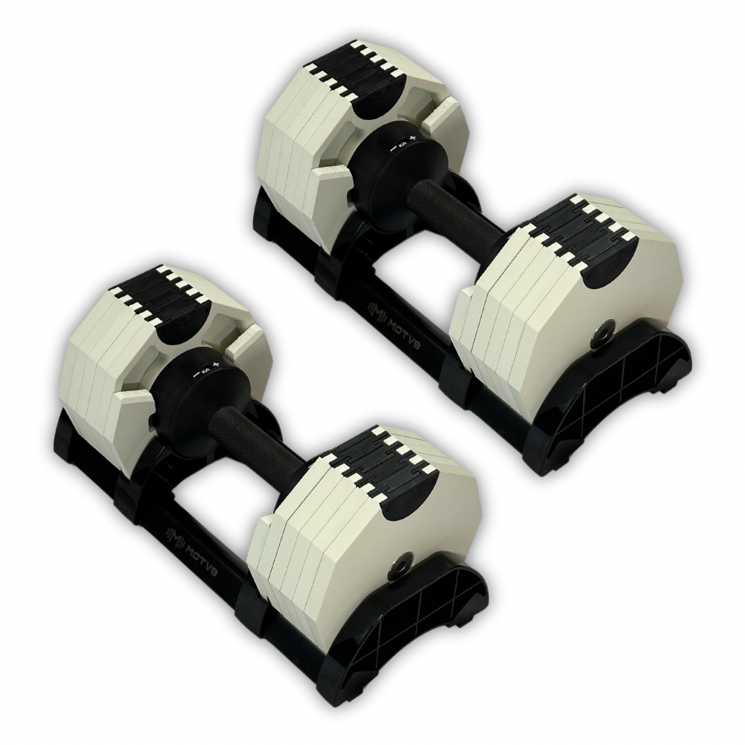 Everlast dumbbell adjustable hotsell