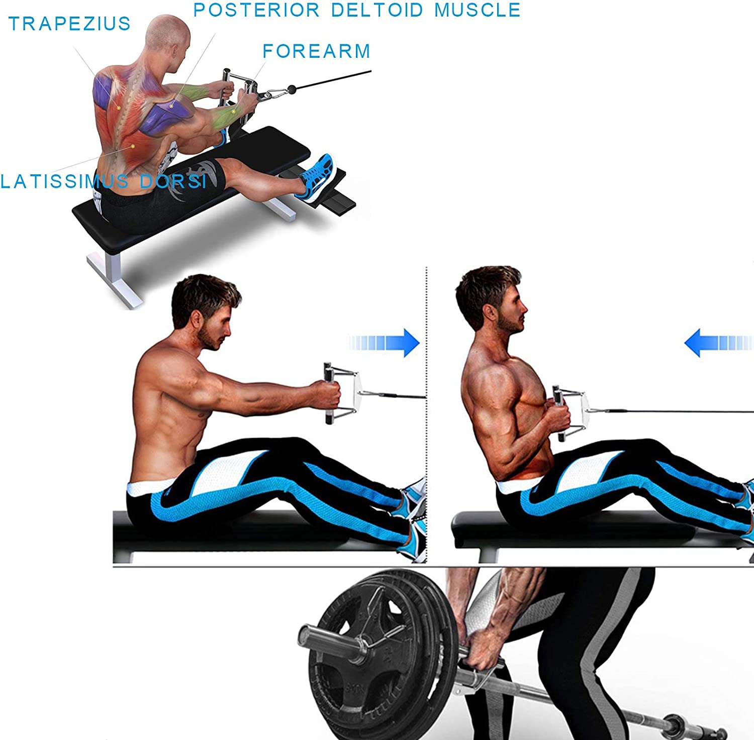 V Shape Cable Exercise V Bar Cable Attachment – Motv8